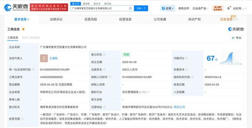 爱奇艺新公司布局AI 软件开发与系统集成服务引领智慧变革